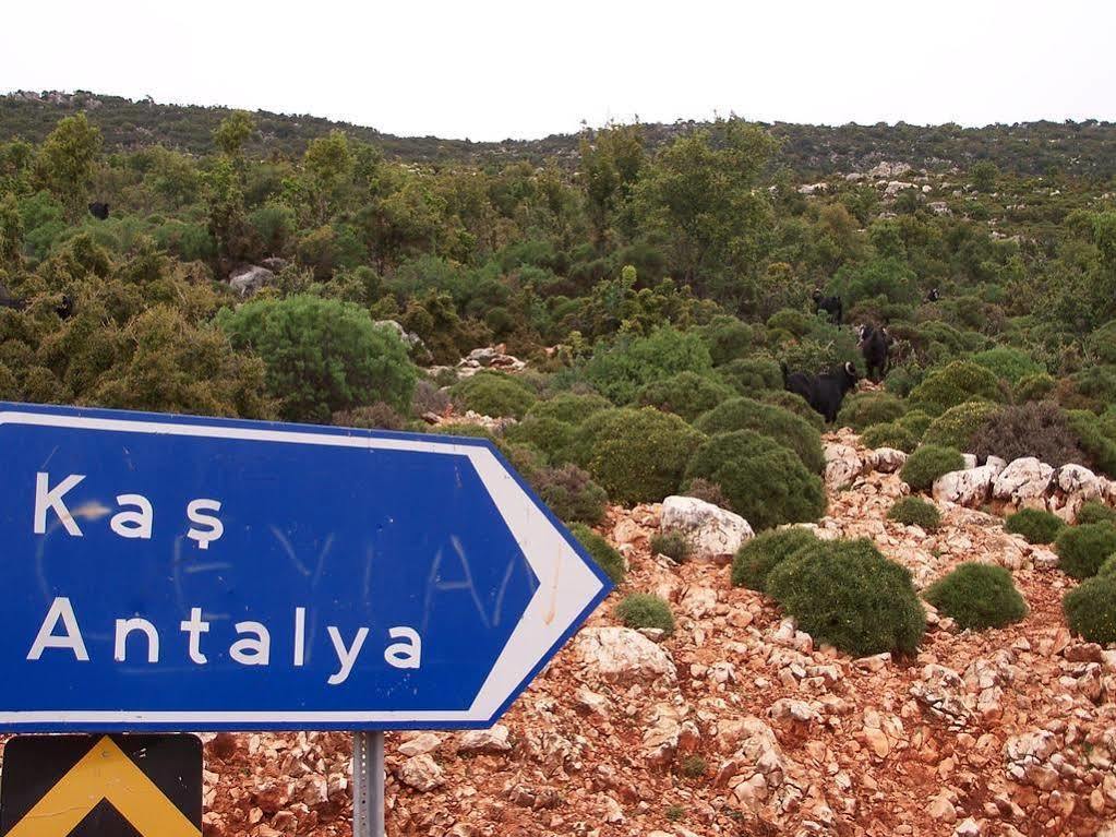 Hotel Ani Pension Kaş Esterno foto